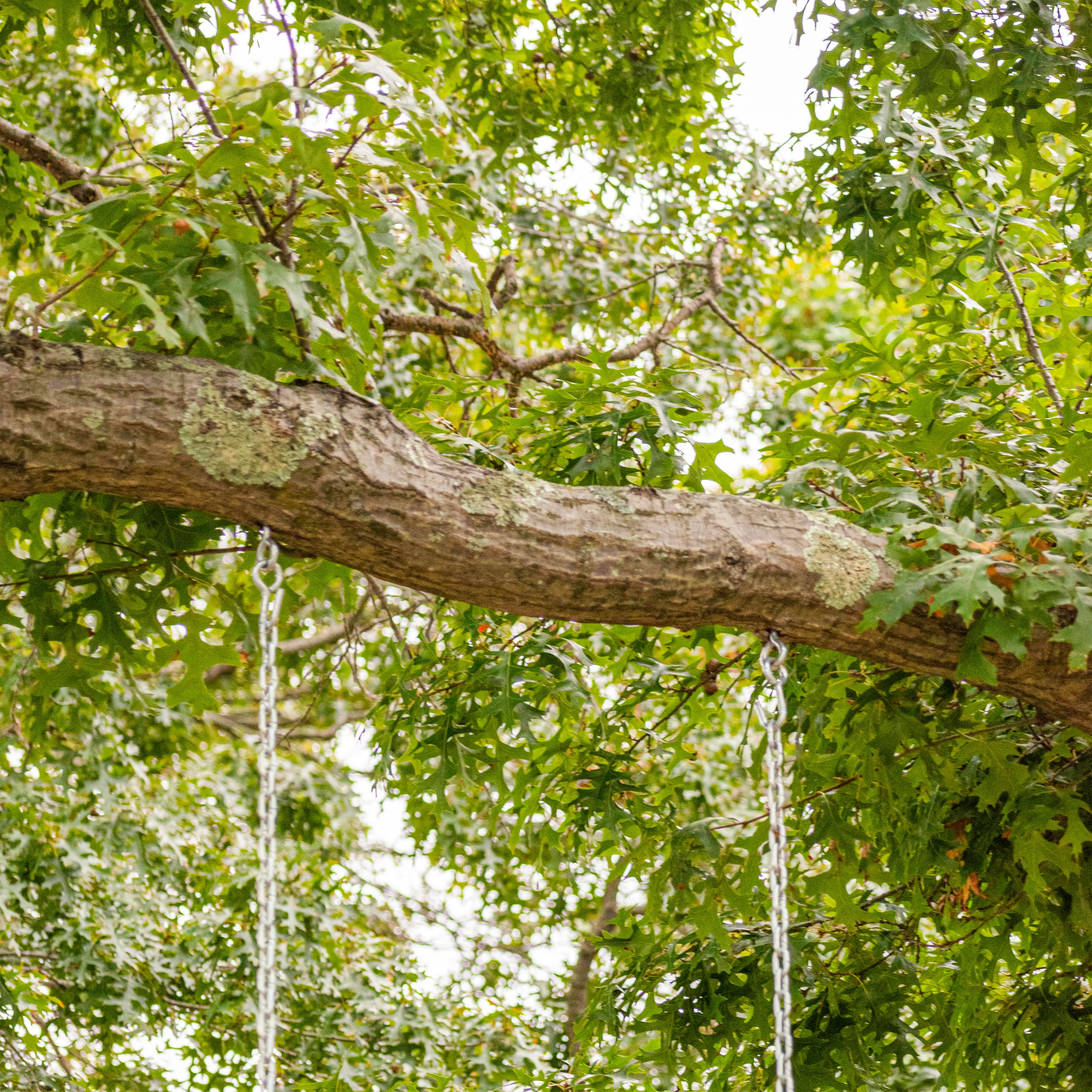 Bliss Outdoors BH-992B Wooden Skateboard Swing w/ Handle Bars & Hanging Hardware | 200 Lb. Capacity - Image 6